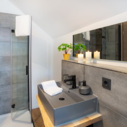 Badezimmer mit Dusche Wohnung 12