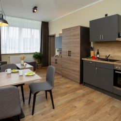 Küche und Wohnbereich Wohnung 2