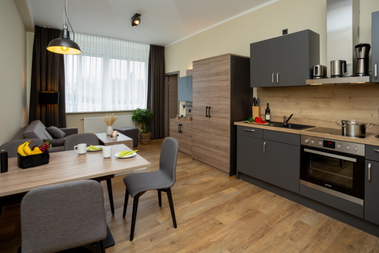 Küche und Wohnbereich Wohnung 2