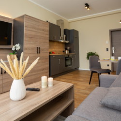 Wohnbereich und Küche Wohnung 2